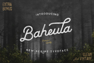 Baheula: A Handwritten Script Font That Fits Real Campaign Workflows