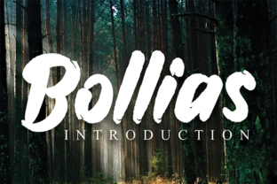 Bollias: A Handwritten Font That Elevates Branding