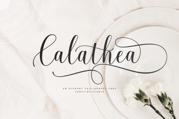 Calathea: A Script Font That Earns Its Place in Real Campaigns