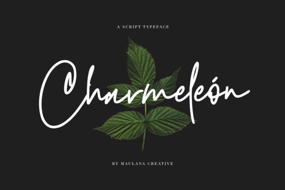 Charmeleon: A Timeless Script Font for Modern Campaigns