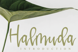 Halmuda: A Whimsical Font for Web Design